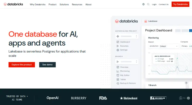 Databricks AI Search home page