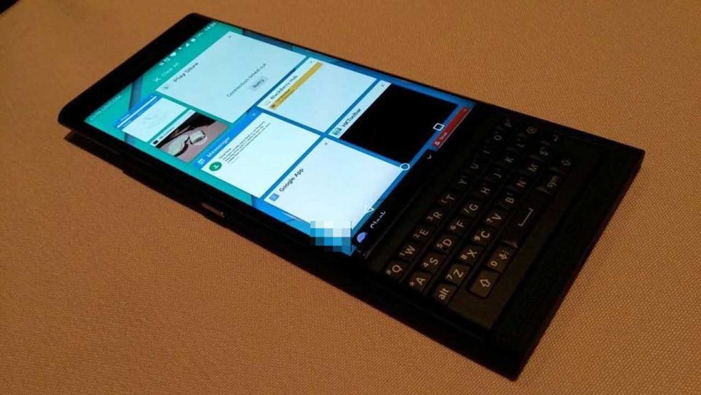 Blackberry Venice Fig 2 scaled