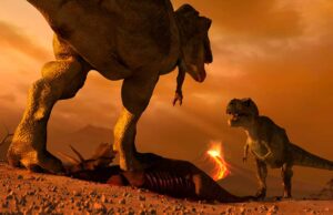 Flowering Plants Survived the Dinosaur-Killing Asteroid – and May Outlive Us