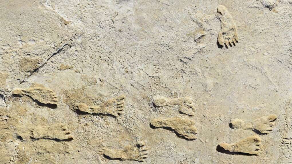 Ancient Footprints in New Mexico Redefine Human Arrival in the Americas Ancient Footprints in New Mexico Redefine Human Arrival in the Americas