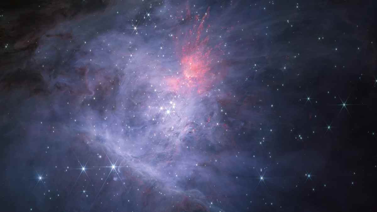James Webb Telescope Uncovers Mysterious ‘JuMBOs’ in Orion Nebula
