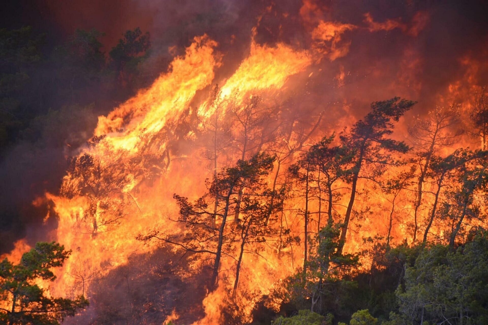 Pacific Northwest Braces for Increasing Wildfires Pacific northwest