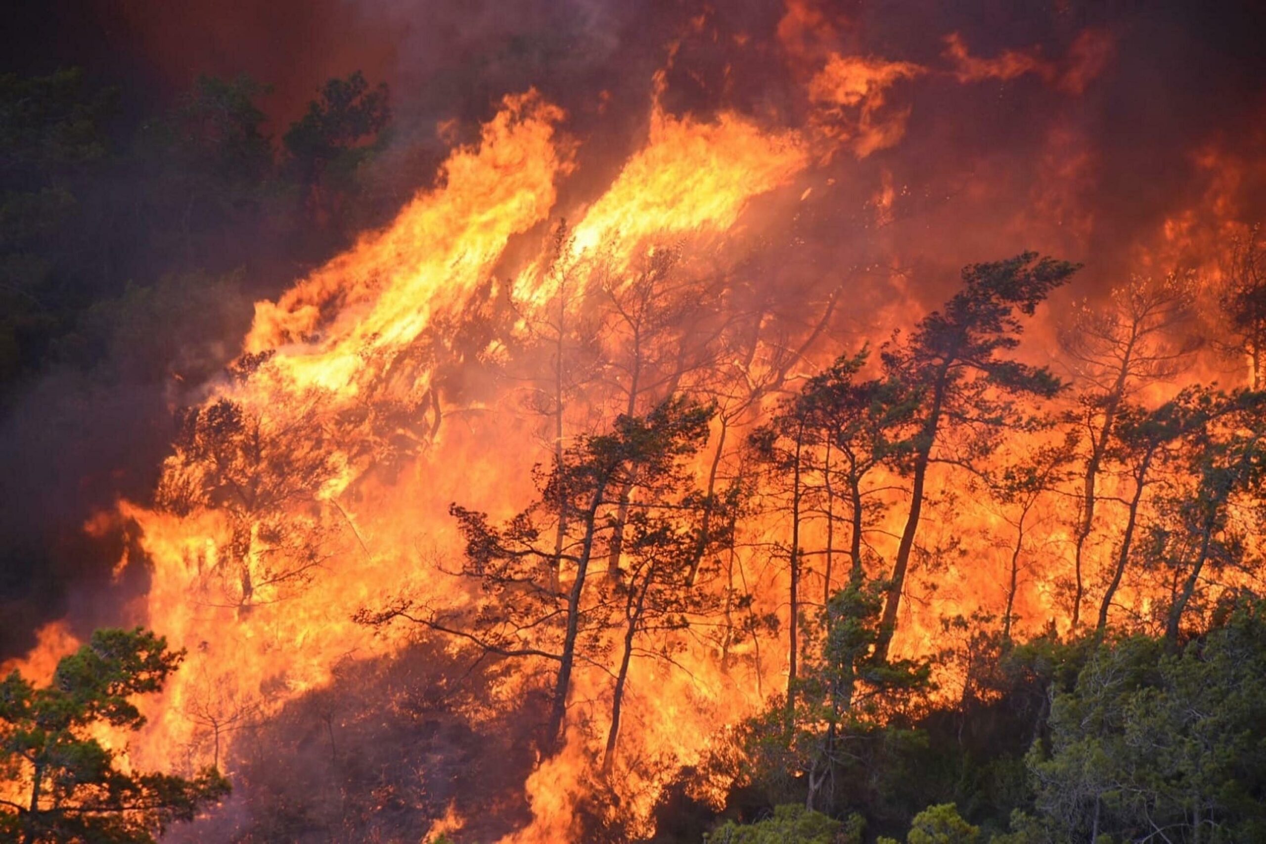 Pacific Northwest Braces for Increasing Wildfires Pacific Northwest Braces for Increasing Wildfires