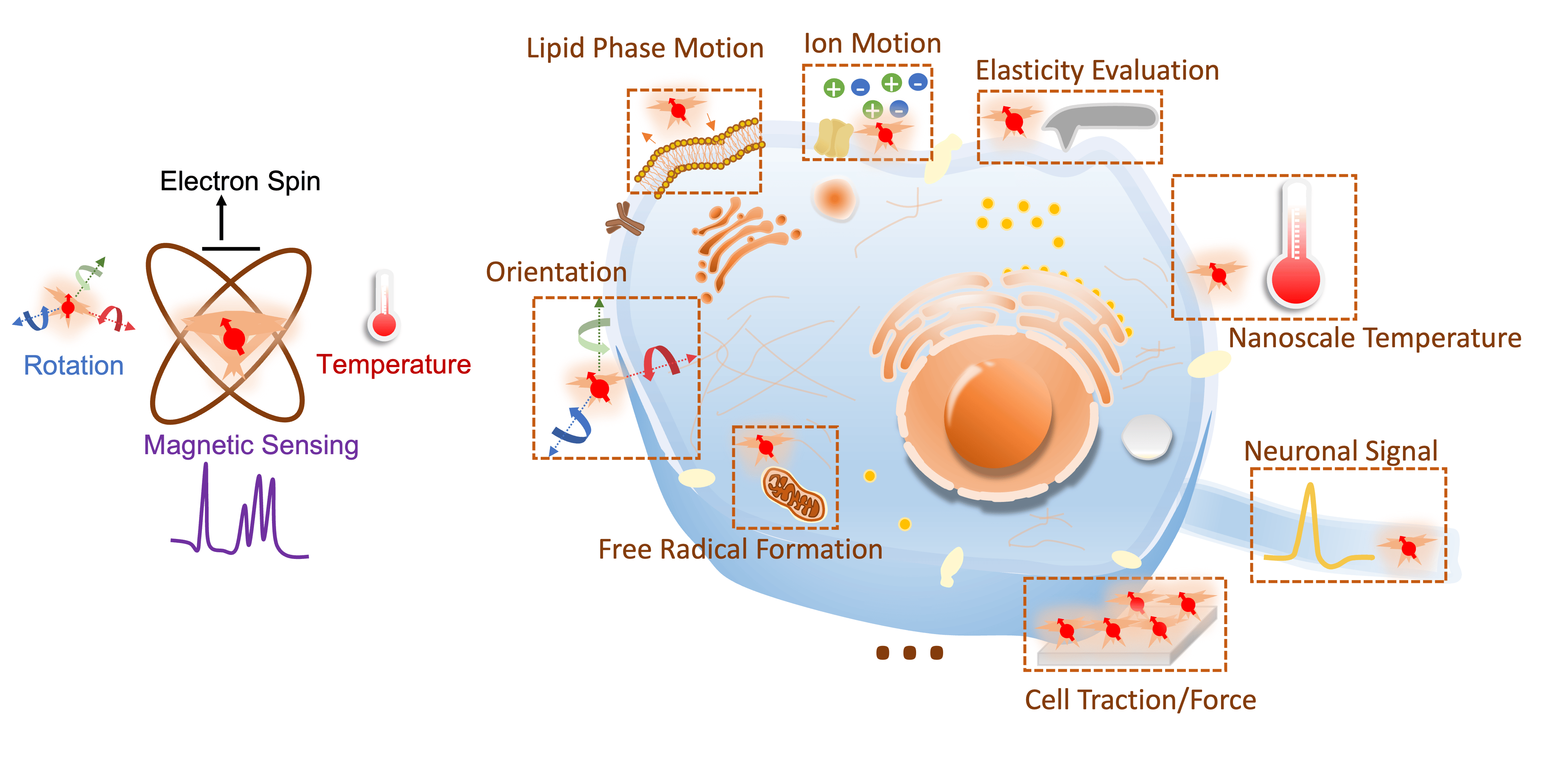 Harnessing Quantum Forces: The Future of Nanoscale Assembly Harnessing Quantum Forces: The Future of Nanoscale Assembly