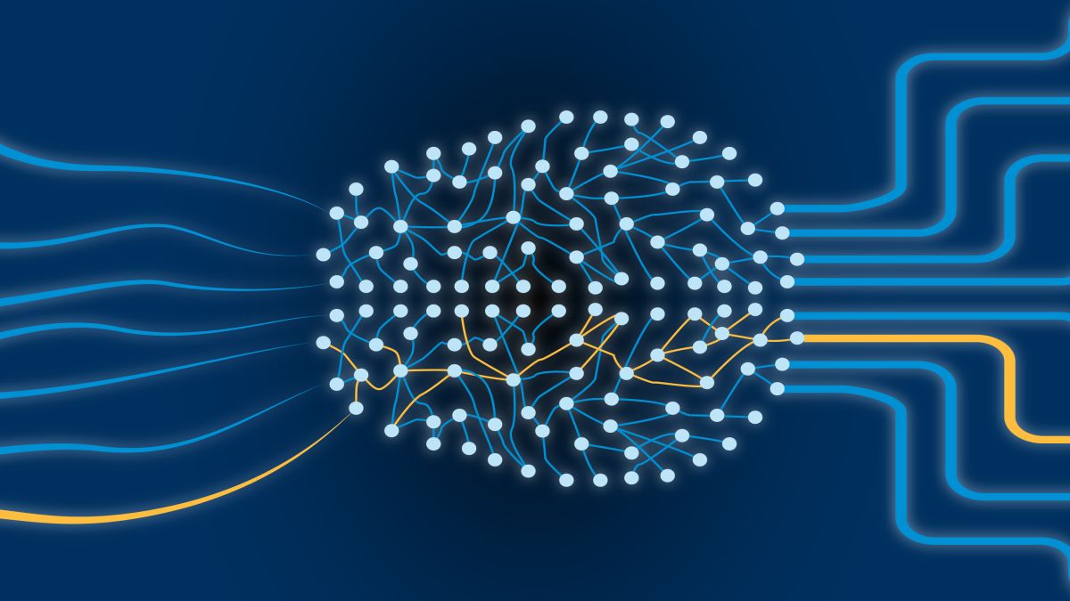 The Boundaries of AI Learning: How Machines Learn Differently from Humans The Boundaries of AI Learning: How Machines Learn Differently from Humans