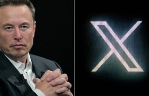 Elon Musk's X Factor