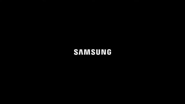 Samsung's Software Stronghold Samsung's Software Stronghold